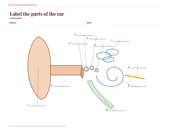 Preview of Printable Label Diagram of Ear