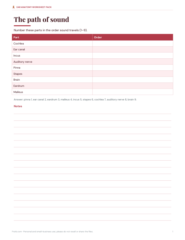 Preview of Printable Ear Sound Path Worksheet